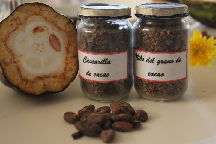 Productos derivados del grano de cacao – Por Mileidys Nieves