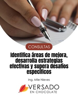 Consultoría técnica virtual por hora