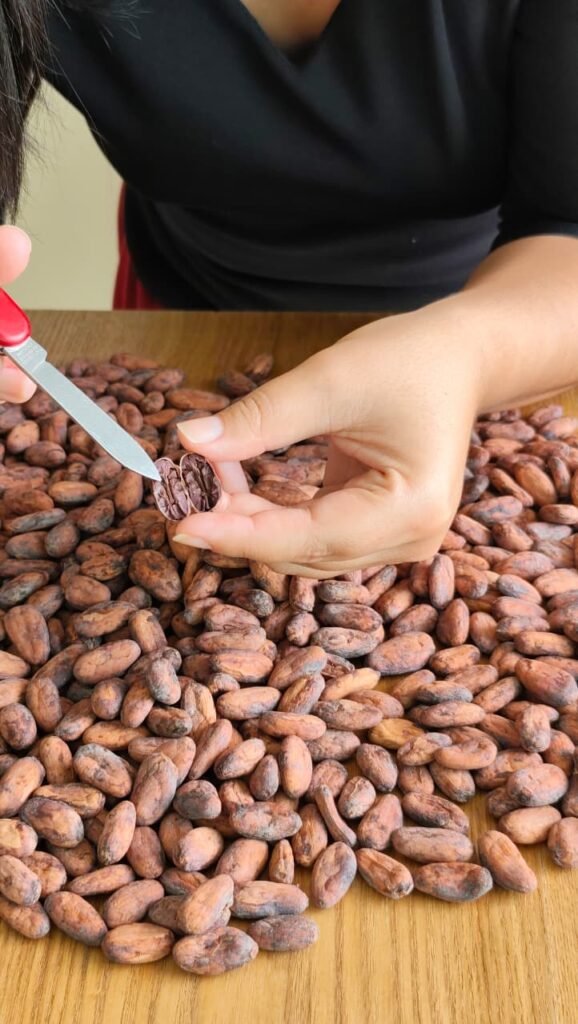 Curso Online Calidad del cacao en grano
