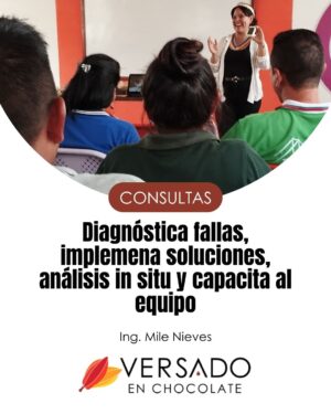 Consultoría técnica presencial por hora