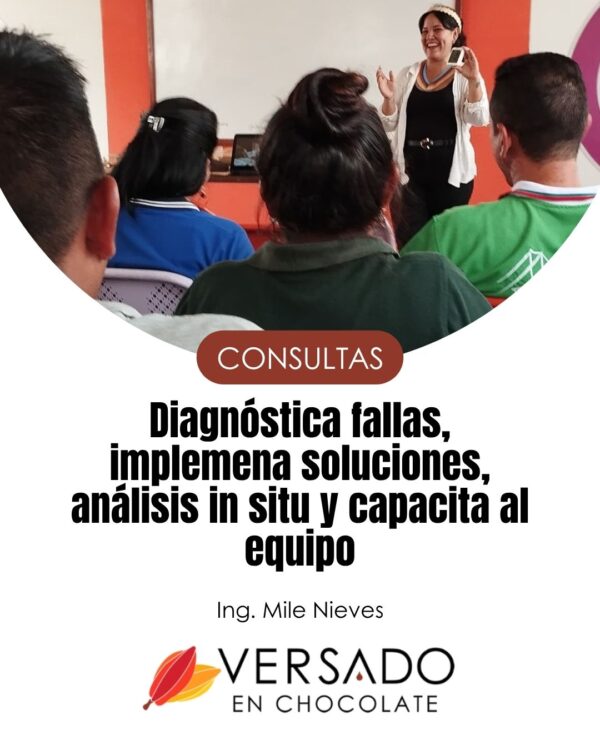 Consultoría técnica presencial por hora