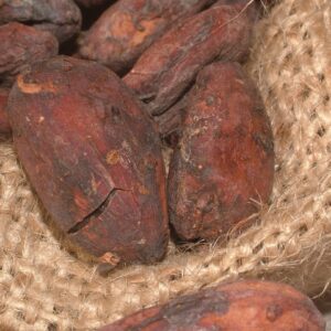 cacao beans, cocoa, cocoa bean