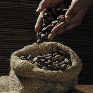 cocoa beans, hands, sack