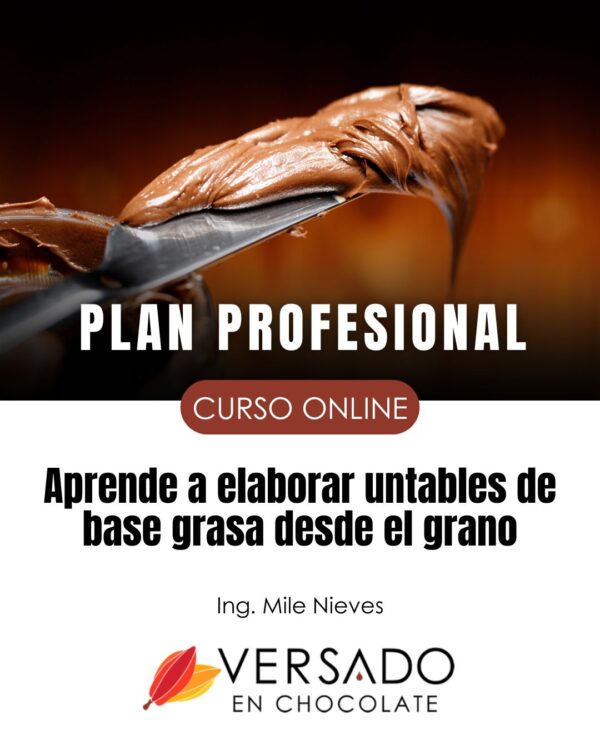 PLAN PROFESIONAL