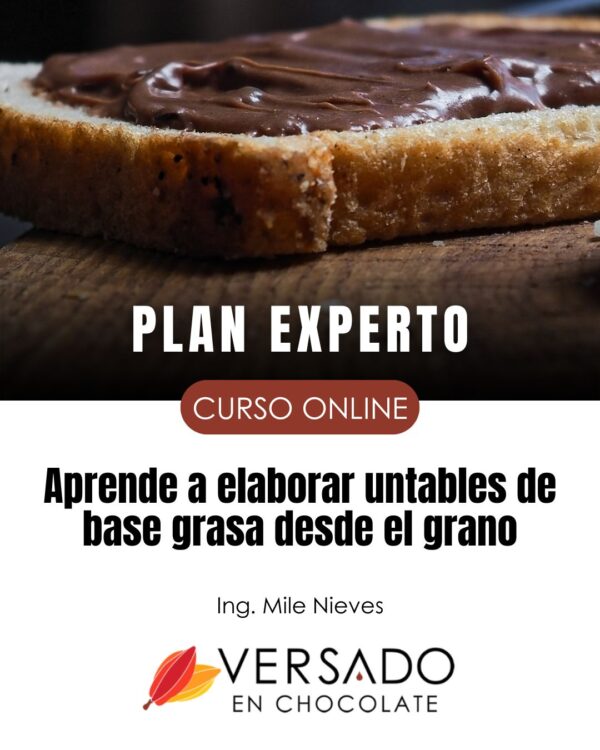 PLAN EXPERTO